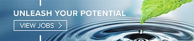 Unleash Your Potential - View Jobs
