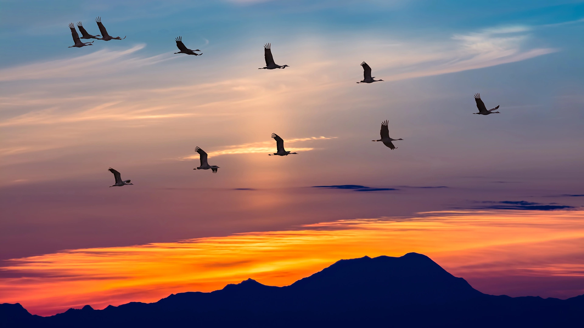 A new chapter: going far, together